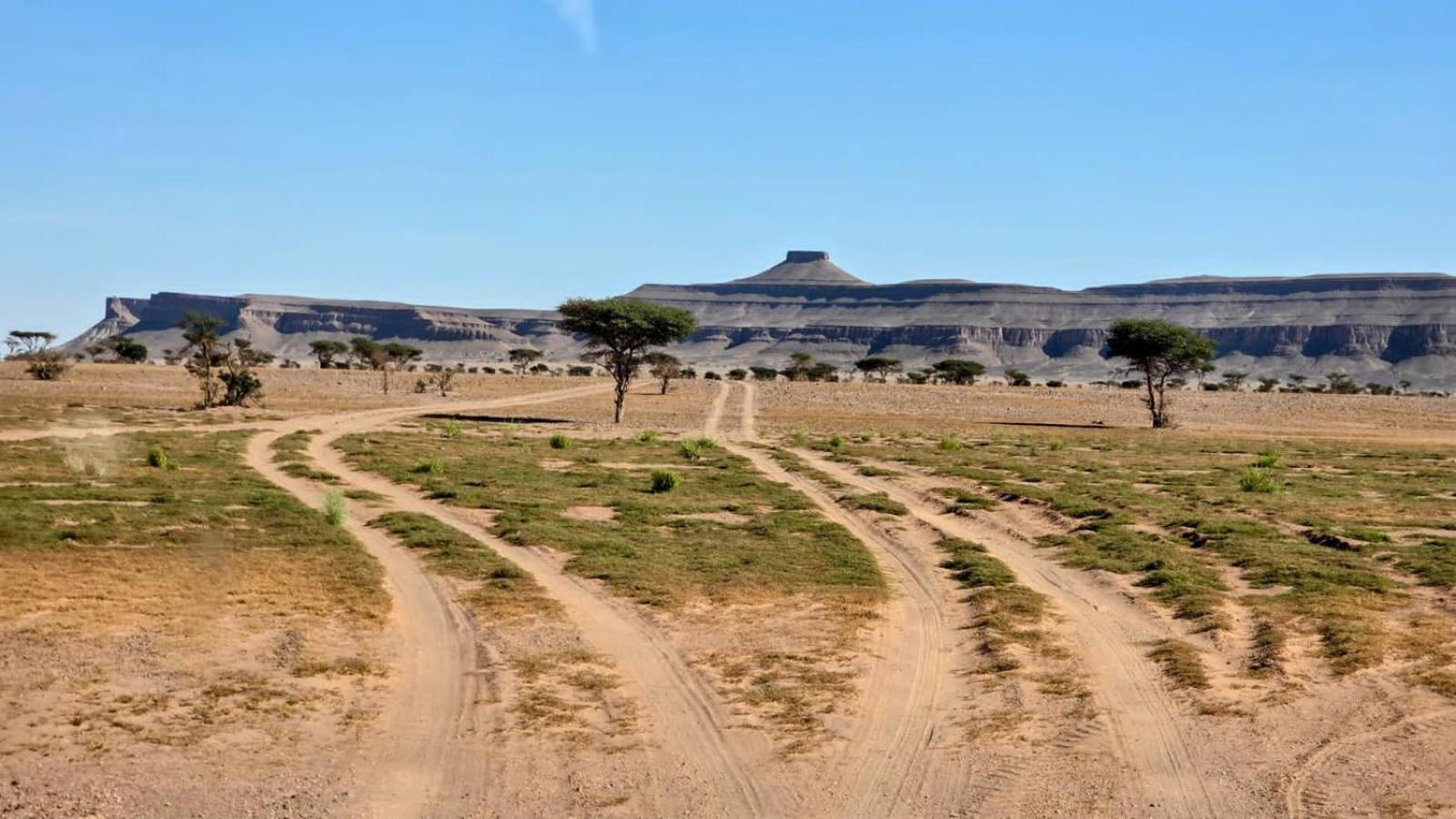 Bivouac Cote-Iriki Otel Foum Zguid Dış mekan fotoğraf