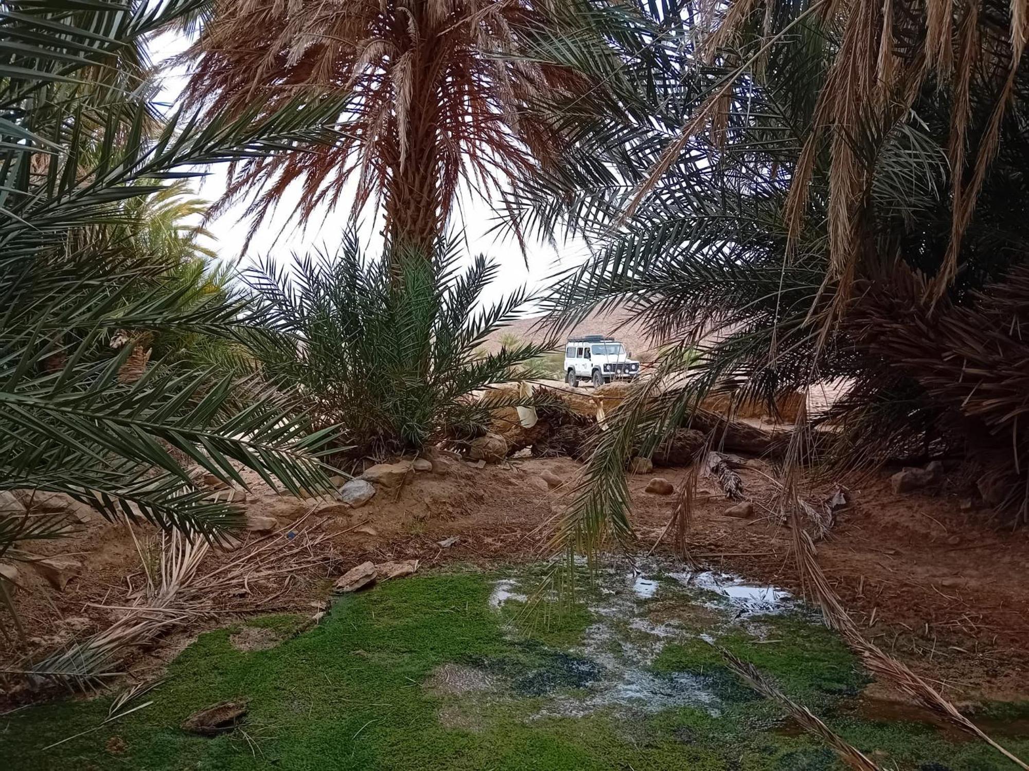 Bivouac Cote-Iriki Otel Foum Zguid Dış mekan fotoğraf